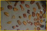 Amber Carvings